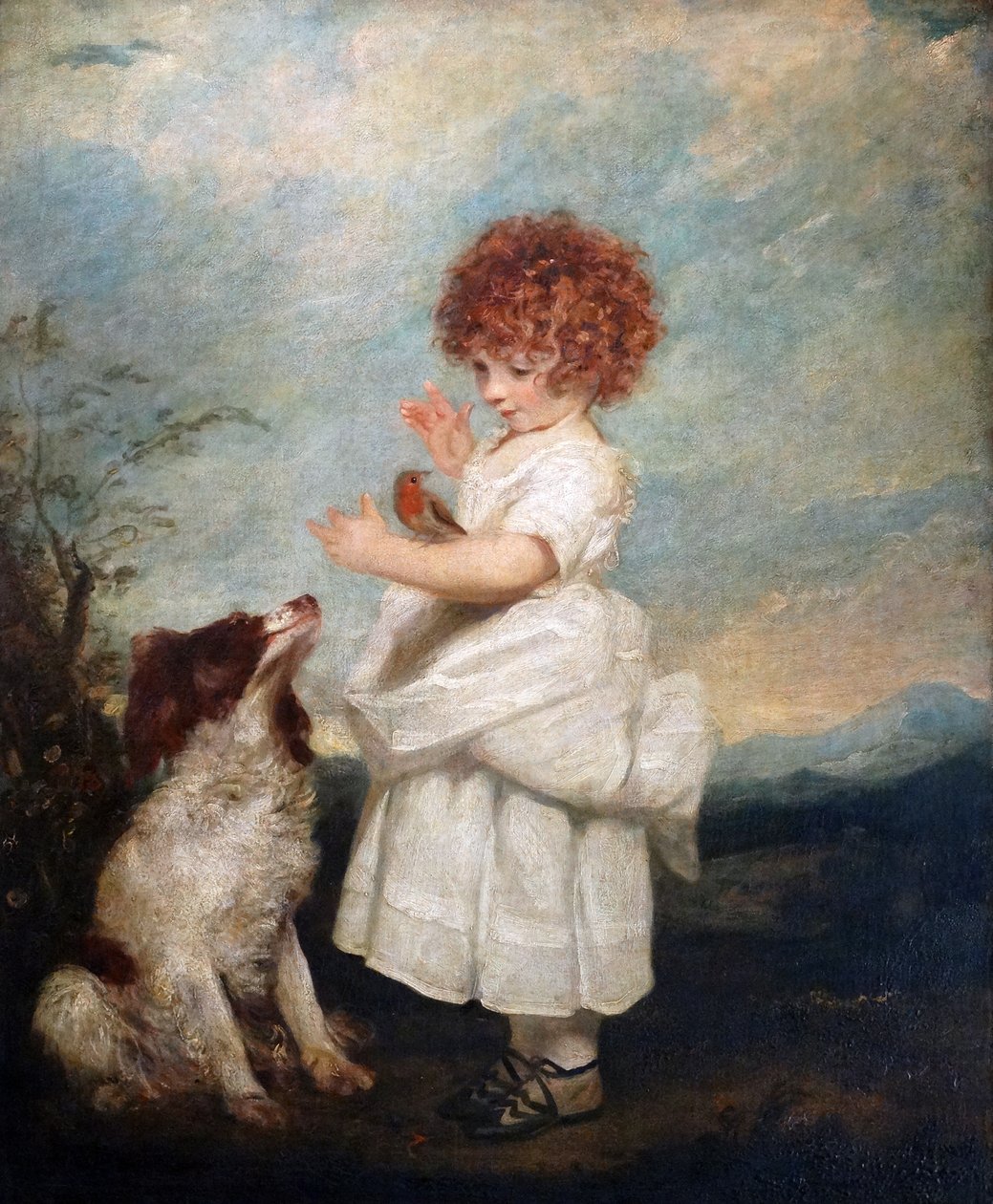 Portret mistrza Philipa Yorke’a – Sir Joshua Reynolds autorstwa Joshua Reynolds