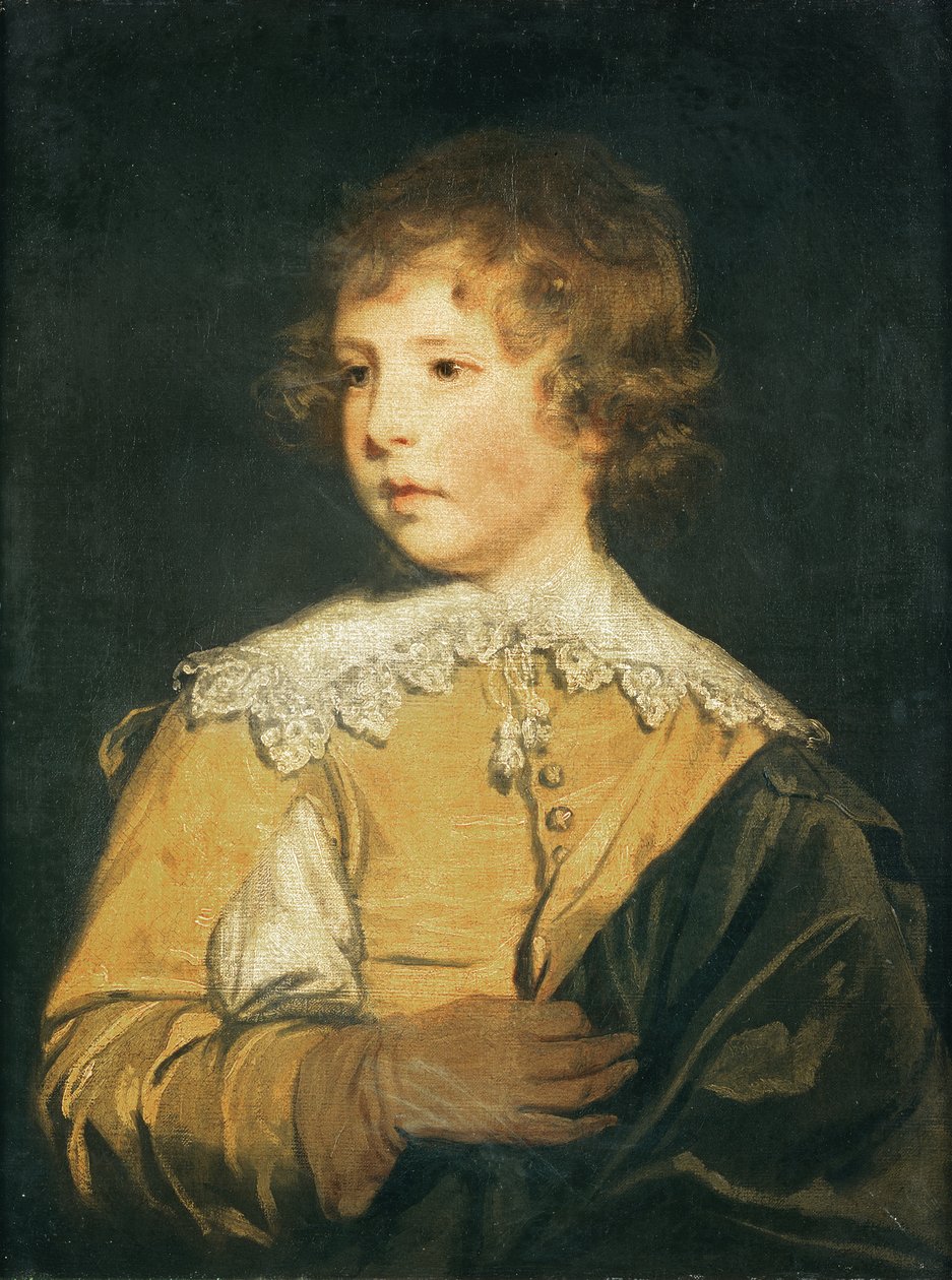 Nieznany obraz autorstwa Joshua Reynolds