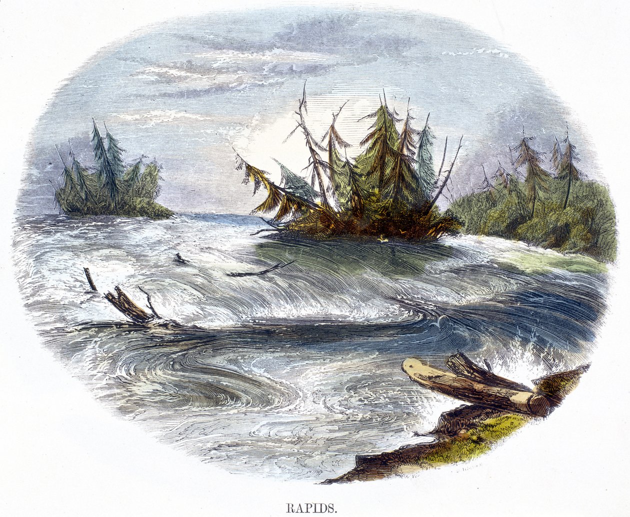 Rapids, z Zjawisk przyrody, 1849 autorstwa Josiah Wood Whymper