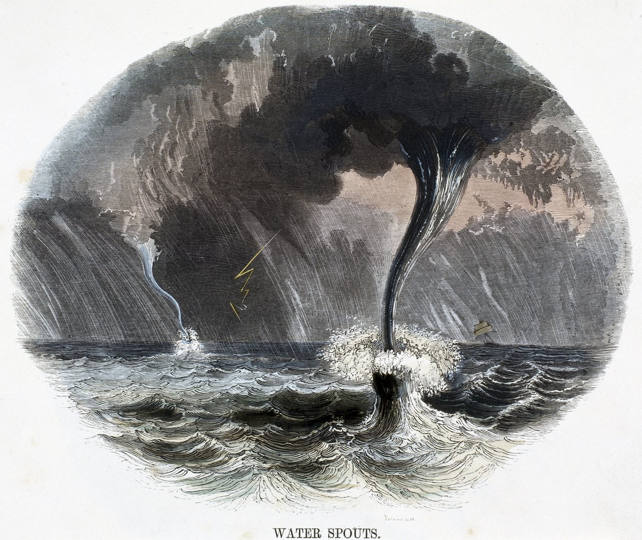 Dziobki wodne, ze zjawisk natury, 1849 autorstwa Josiah Wood Whymper