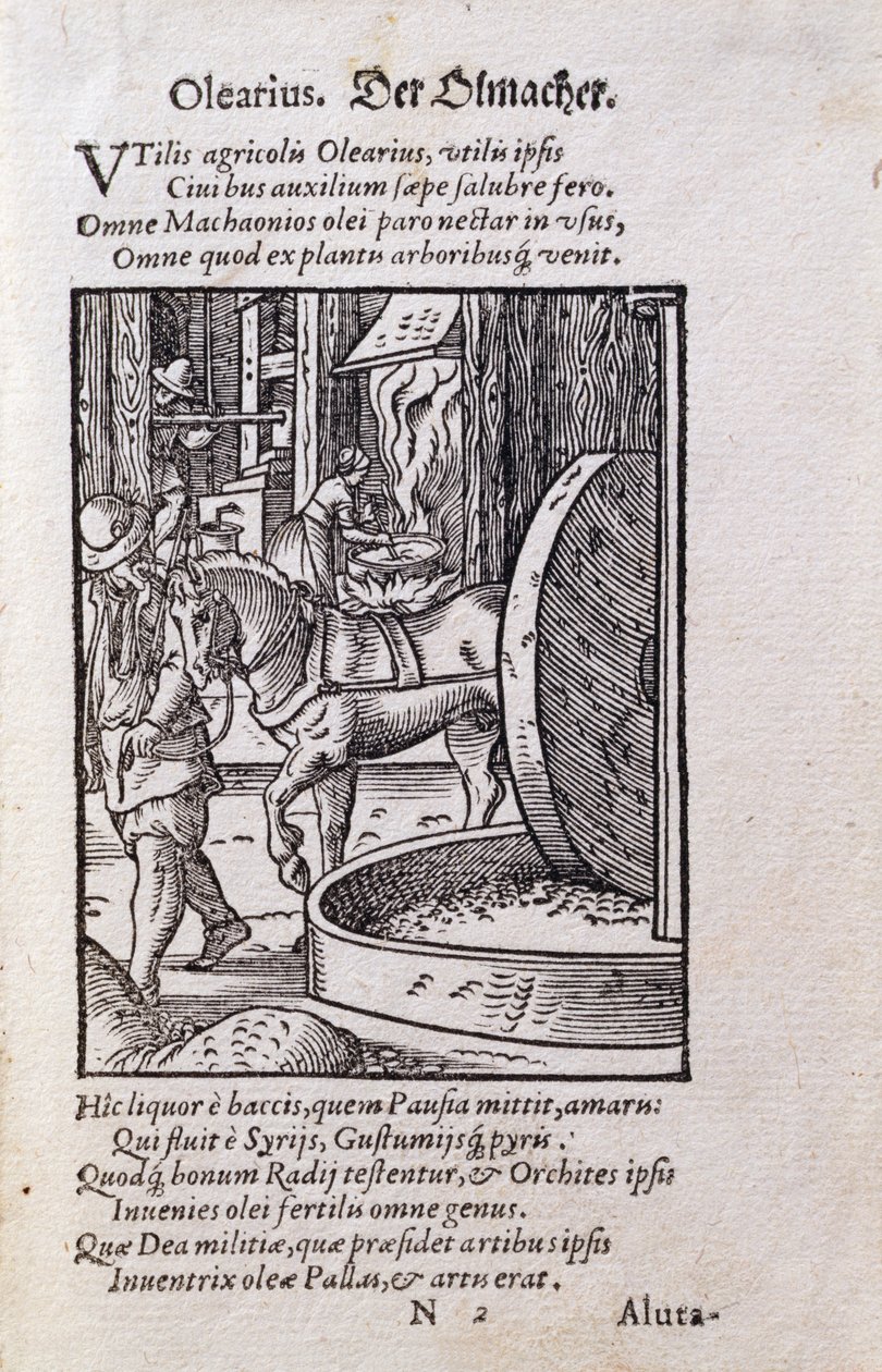 Oil Maker, ilustracja z łacińskiego wydania „De Omnibus Illiberalibus Sive Mechanics Artibus” z wierszami Hansa Sachsa (1494-1576) wyd. 1574 (drzeworyt) autorstwa Jost Amman