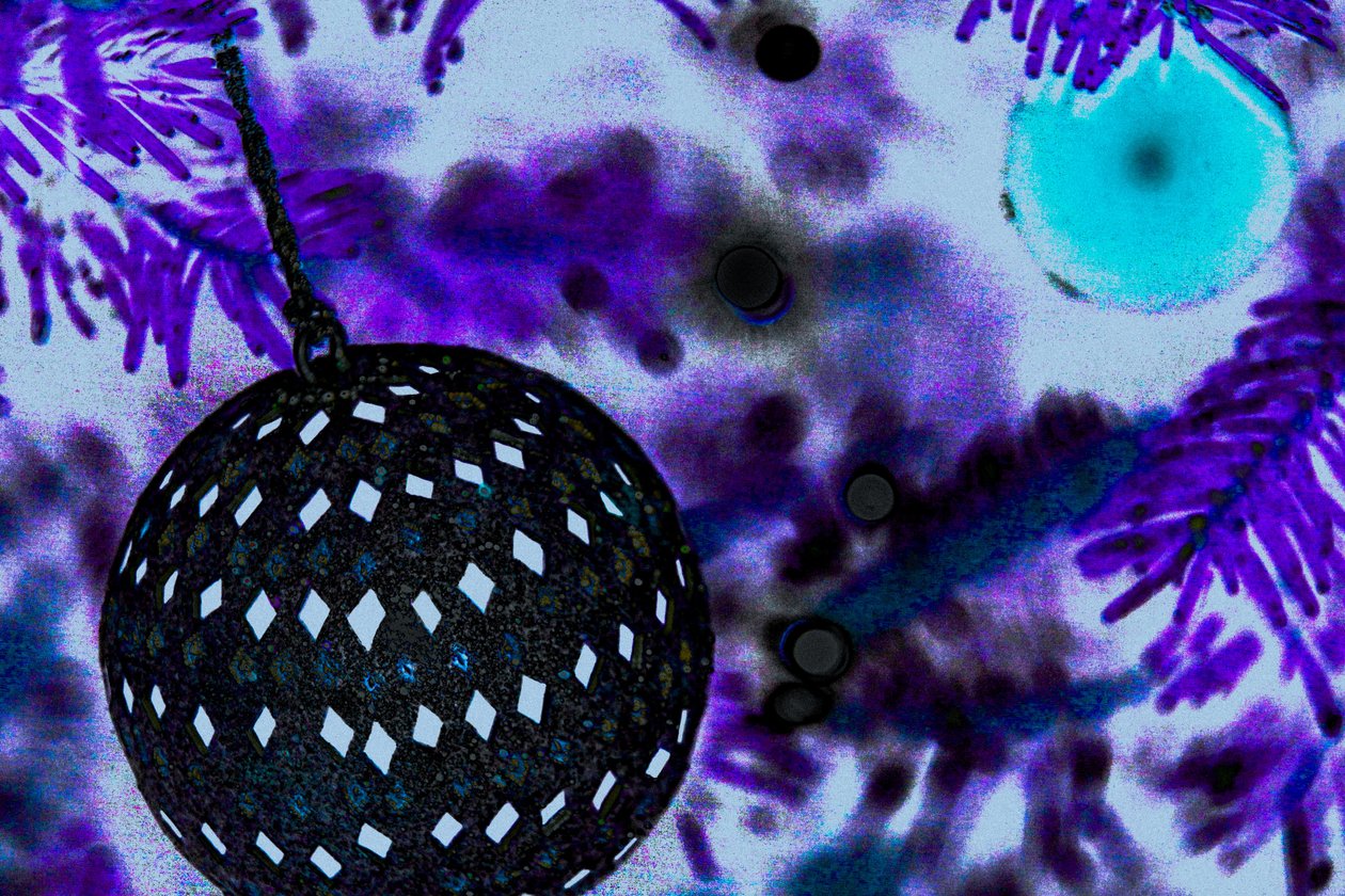 Ball Ornament, z serii The Christmas Tree, 2015 (przemalowane zdjęcie) autorstwa Joy Lions