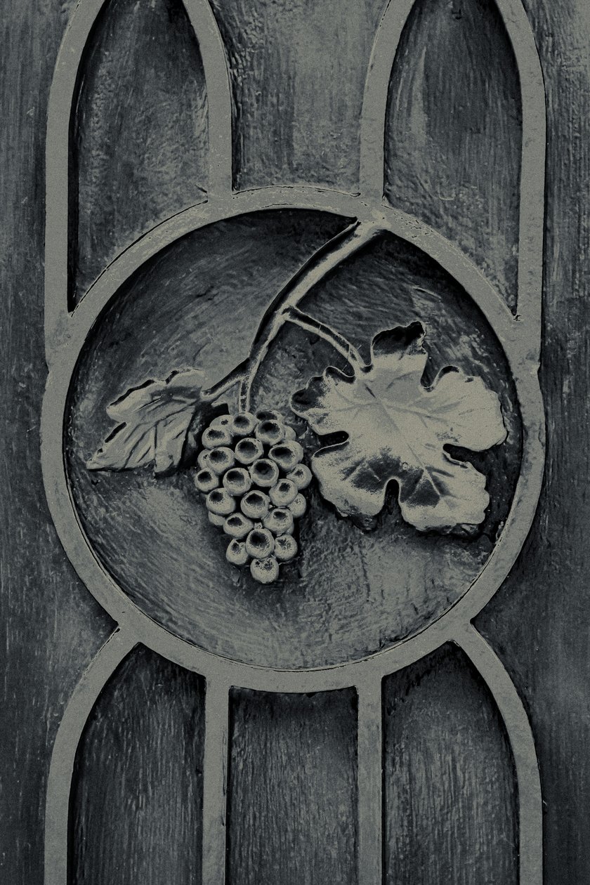 Fruits of the Garden, z serii The Observant, 2016 (zdjęcie) autorstwa Joy Lions