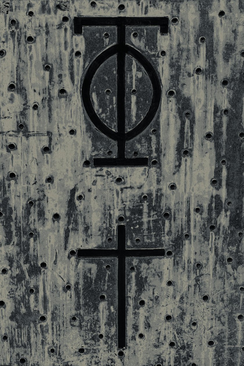 Ikony, z serii The Observant, 2016 (zdjęcie) autorstwa Joy Lions