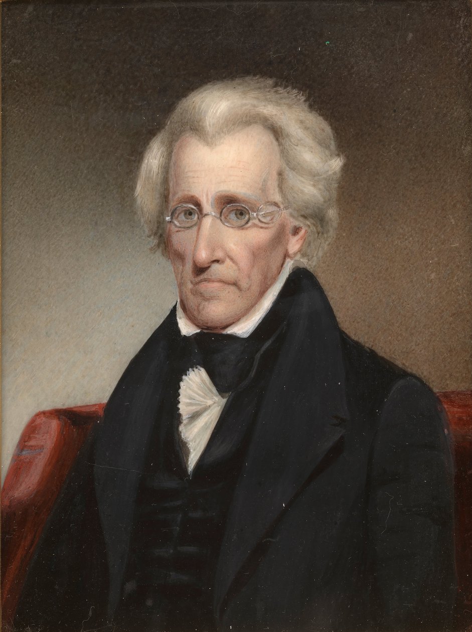 Andrzeja Jacksona autorstwa Jr. James Tooley