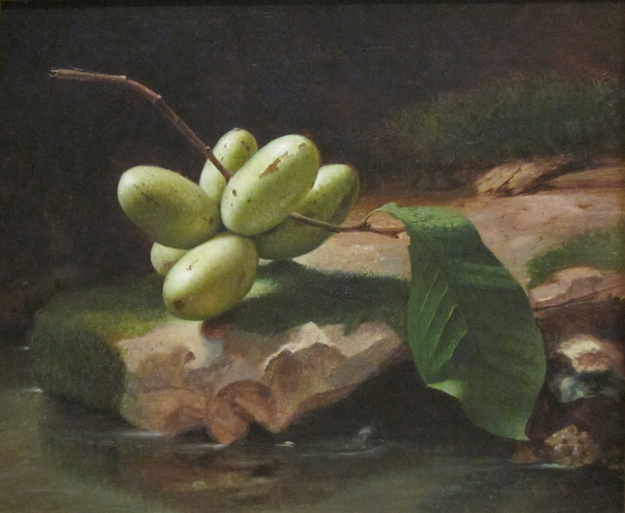 Martwa natura z łapkami autorstwa Jr. Edward Edmondson