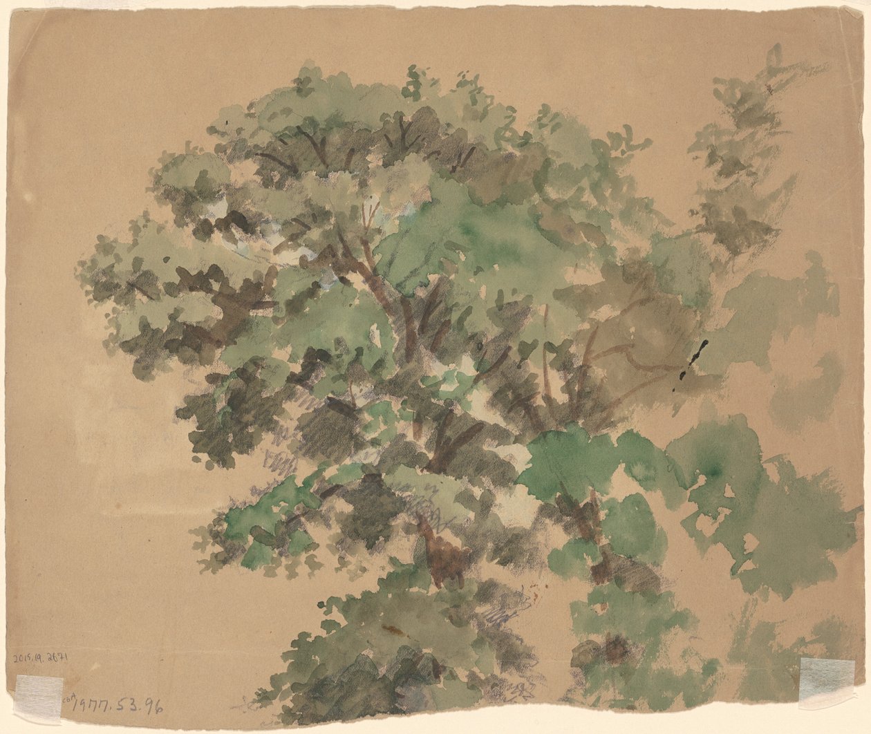 Drzewo [verso] autorstwa Jr. Enoch Wood Perry