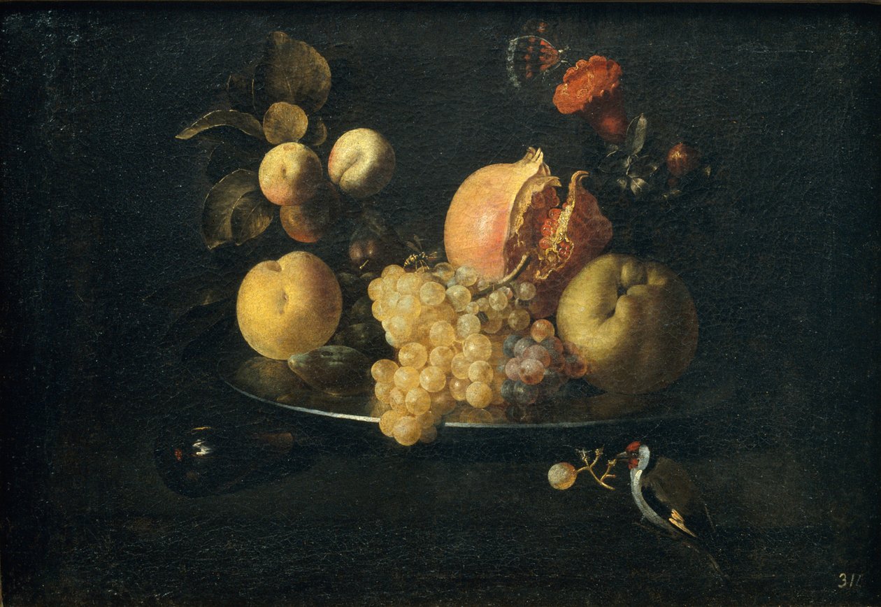 Martwa natura z owocami i złotokapem autorstwa Juan de Zurbaran