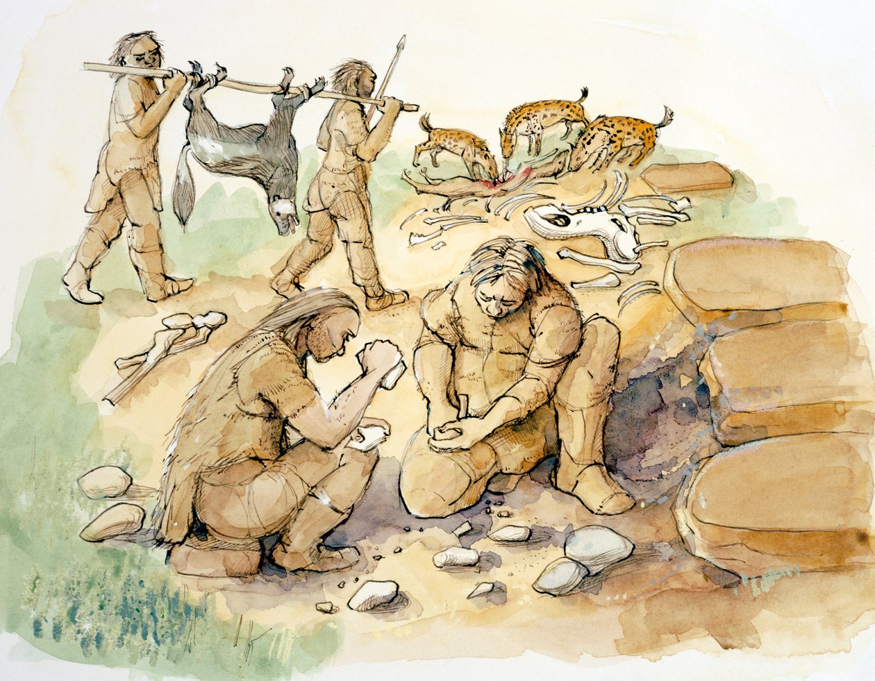 Glaston. Hominidy i hieny, środkowy i górny paleolit (30000 BP), 2001 (akwarela na papierze) autorstwa Judith Dobie
