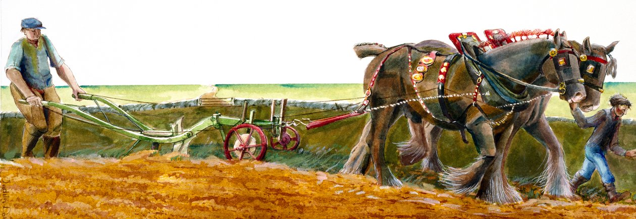 Orka, ok. 1830-1900, ok. 1990-2010 autorstwa Judith Dobie