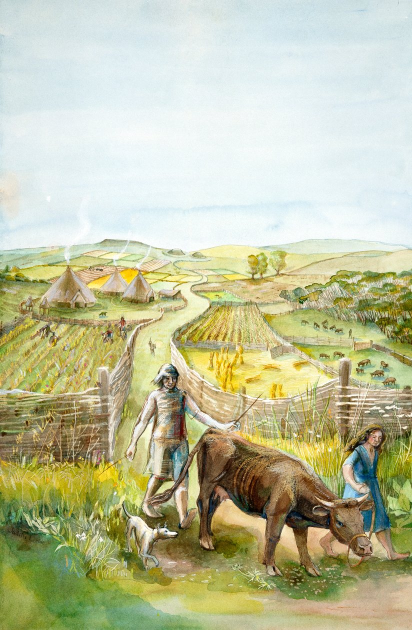 Krajobraz wiejski, 2000 pne, c1990-2010 autorstwa Judith Dobie