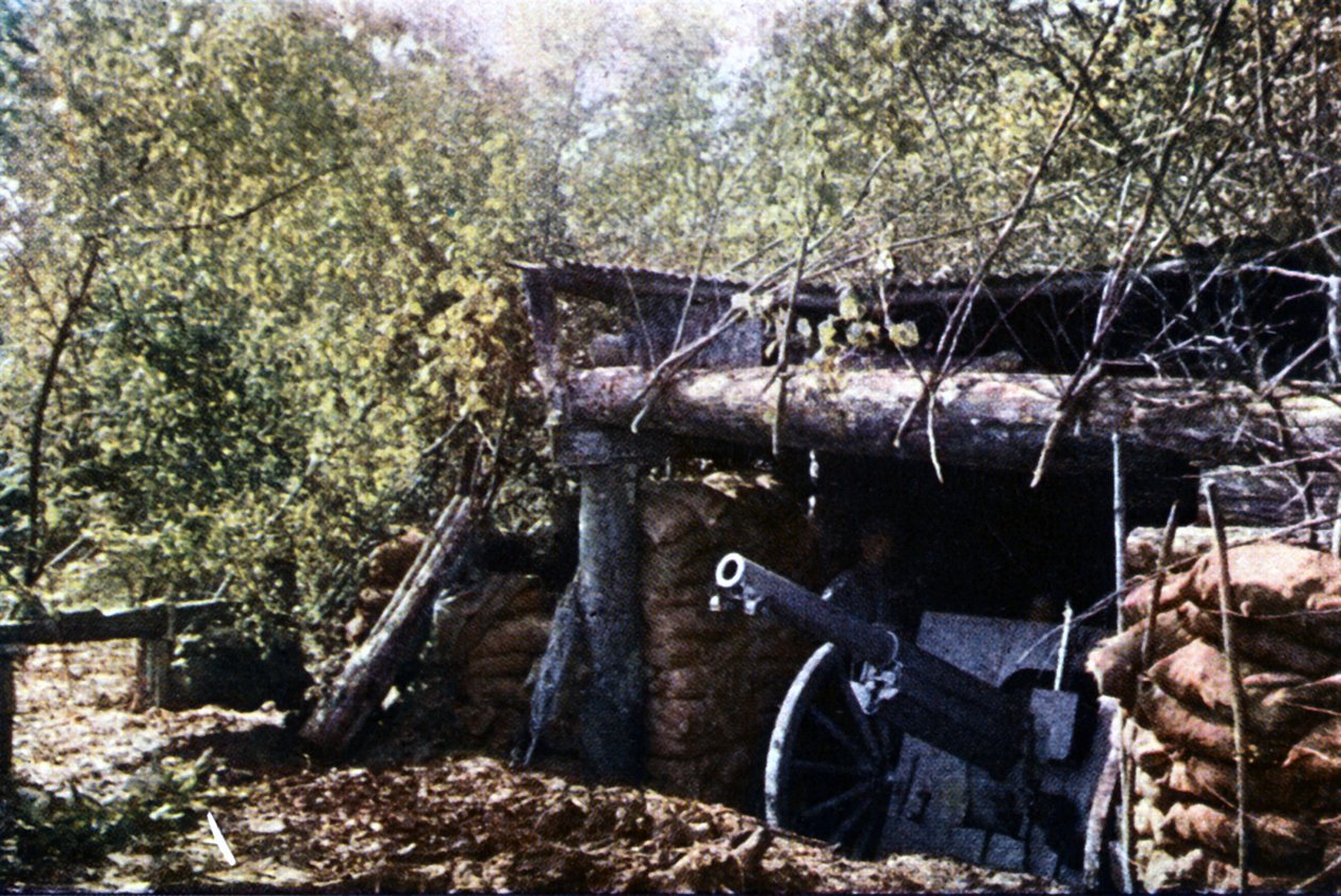 Zakamuflowane francuskie działo 75 mm pod drzewami podczas bitwy pod Verdun, wrzesień 1916 (autochrome) autorstwa Jules Gervais Courtellemont