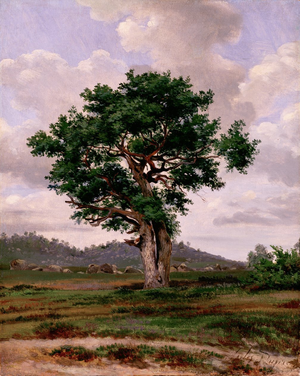 Wściekły (z temperamentem) autorstwa Jules Dupré