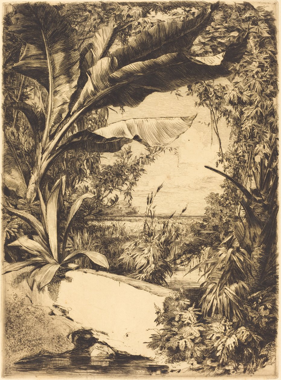 rośliny szklarniowe autorstwa Jules Ferdinand Jacquemart