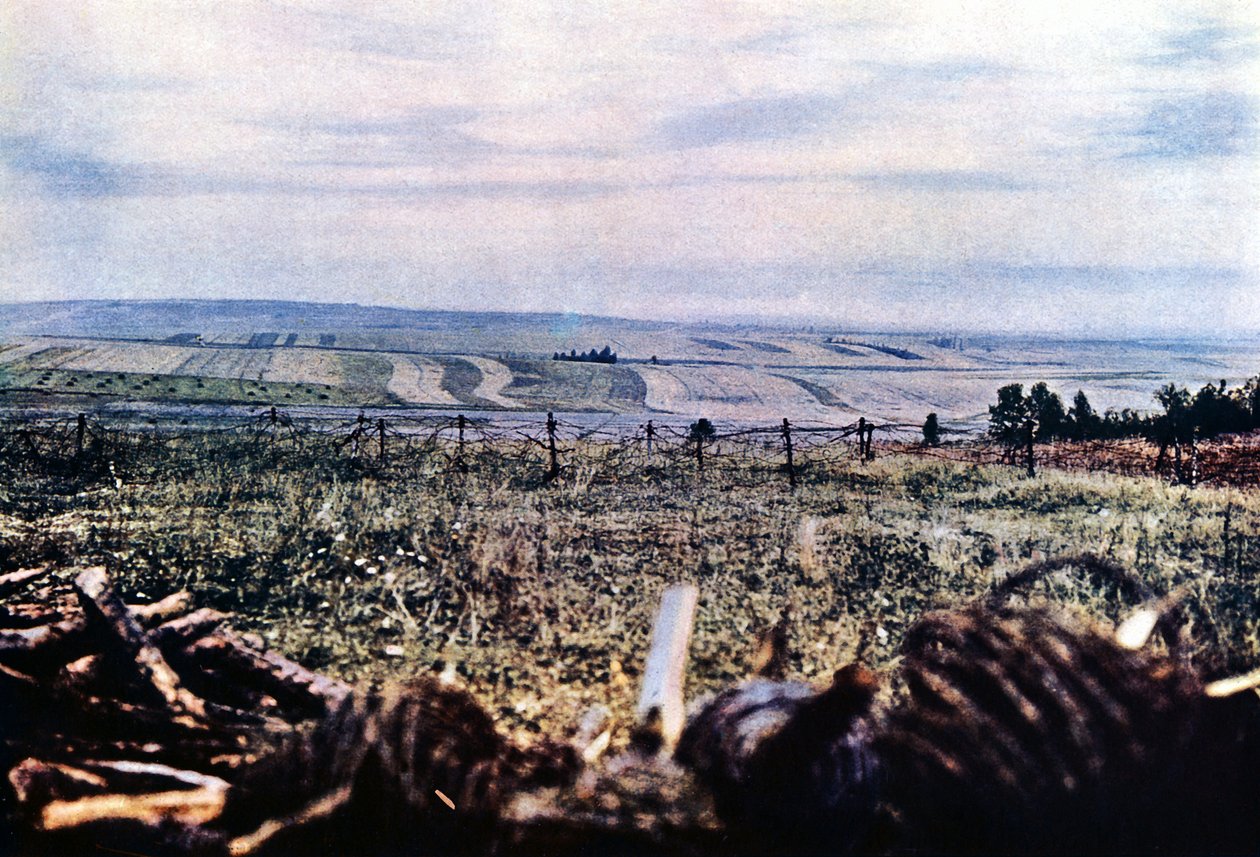 Wzgórze 304 z drutem kolczastym koło Verdun, wrzesień 1916 (autochrom) autorstwa Jules Gervais Courtellemont
