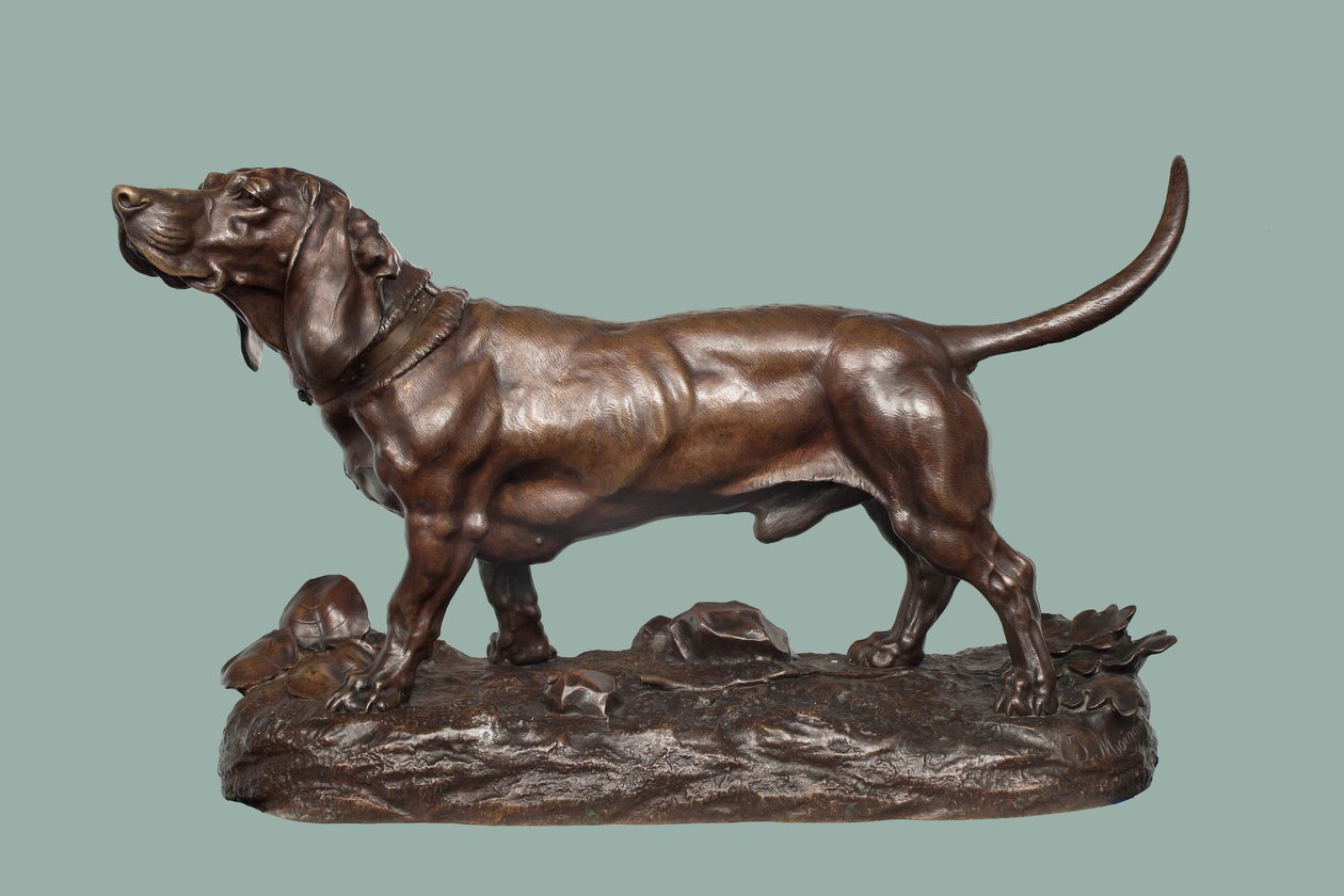 Basset Hound (brąz z brązową patyną) autorstwa Jules Pierre Moigniez