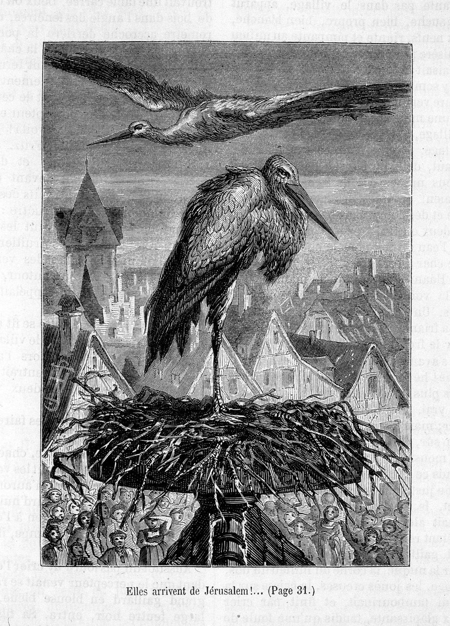 Bociany na dachu – w „Przyjacielu Fritza” Erckmann-Chatrian, il. autorstwa Théophile
