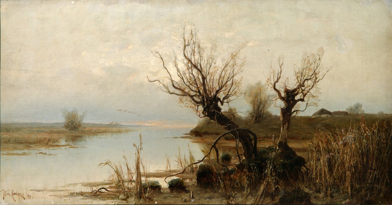 Wody powodziowe, 1890 autorstwa Juli Julievich Klever
