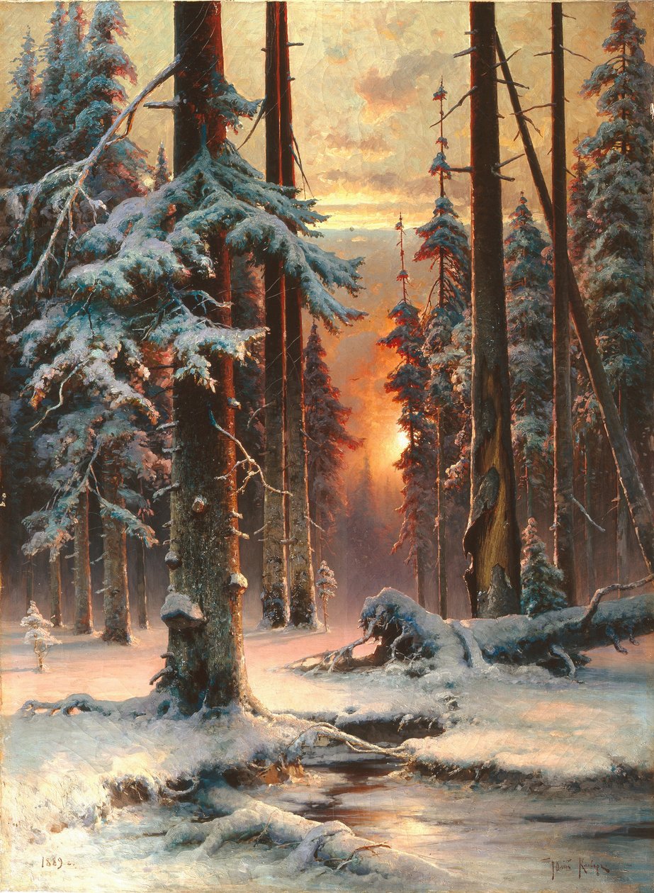 Zimowy zachód słońca w lesie jodłowym, 1889 autorstwa Juli Julievich Klever