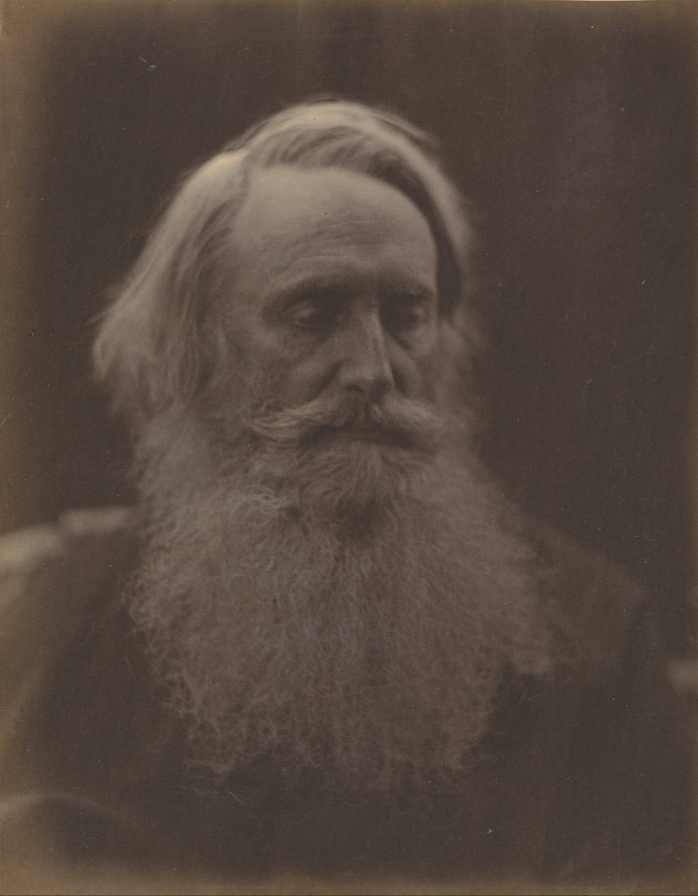 Henry Taylor autorstwa Julia Margaret Cameron