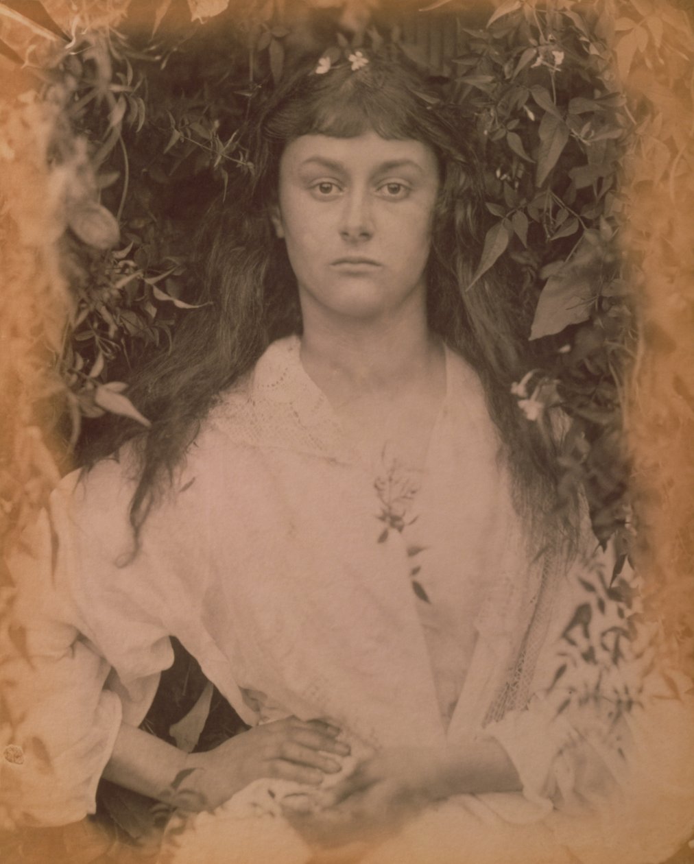 Pomona, 1872 autorstwa Julia Margaret Cameron