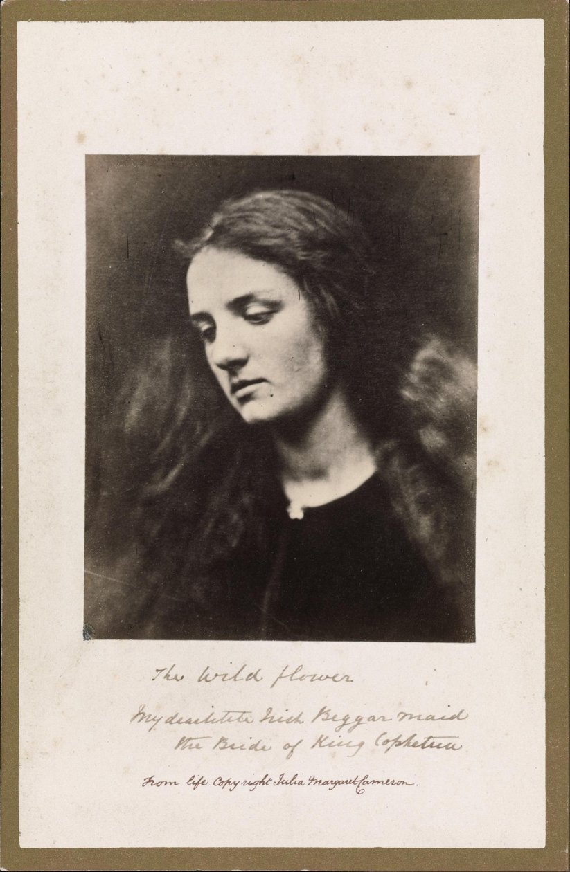 Dziki kwiat autorstwa Julia Margaret Cameron