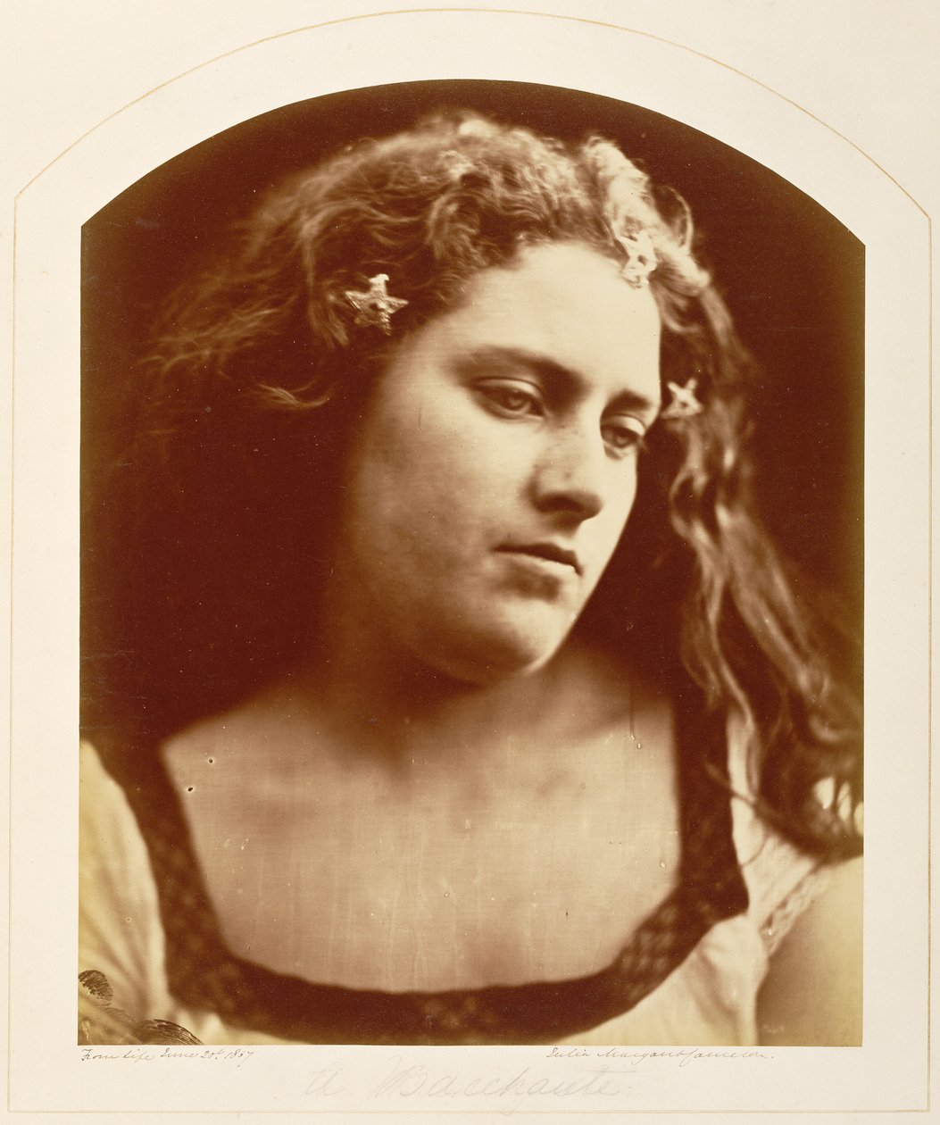 [Bachantka] autorstwa Julia Margaret Cameron
