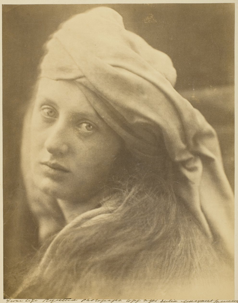 Studium Beatrice Cenci autorstwa Julia Margaret Cameron