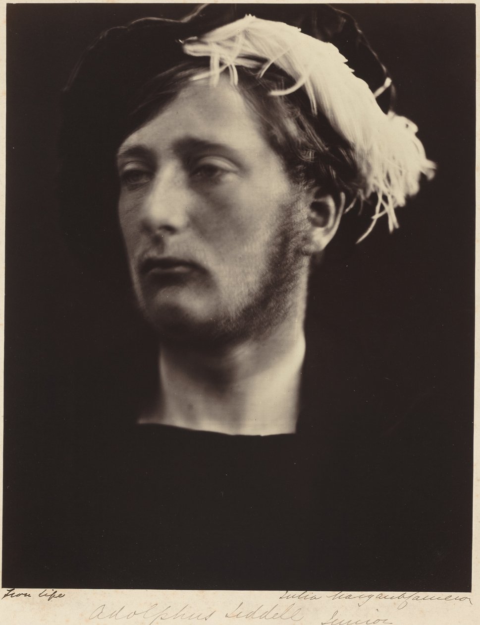 Adolphus Liddell, Junior autorstwa Julia Margaret Cameron