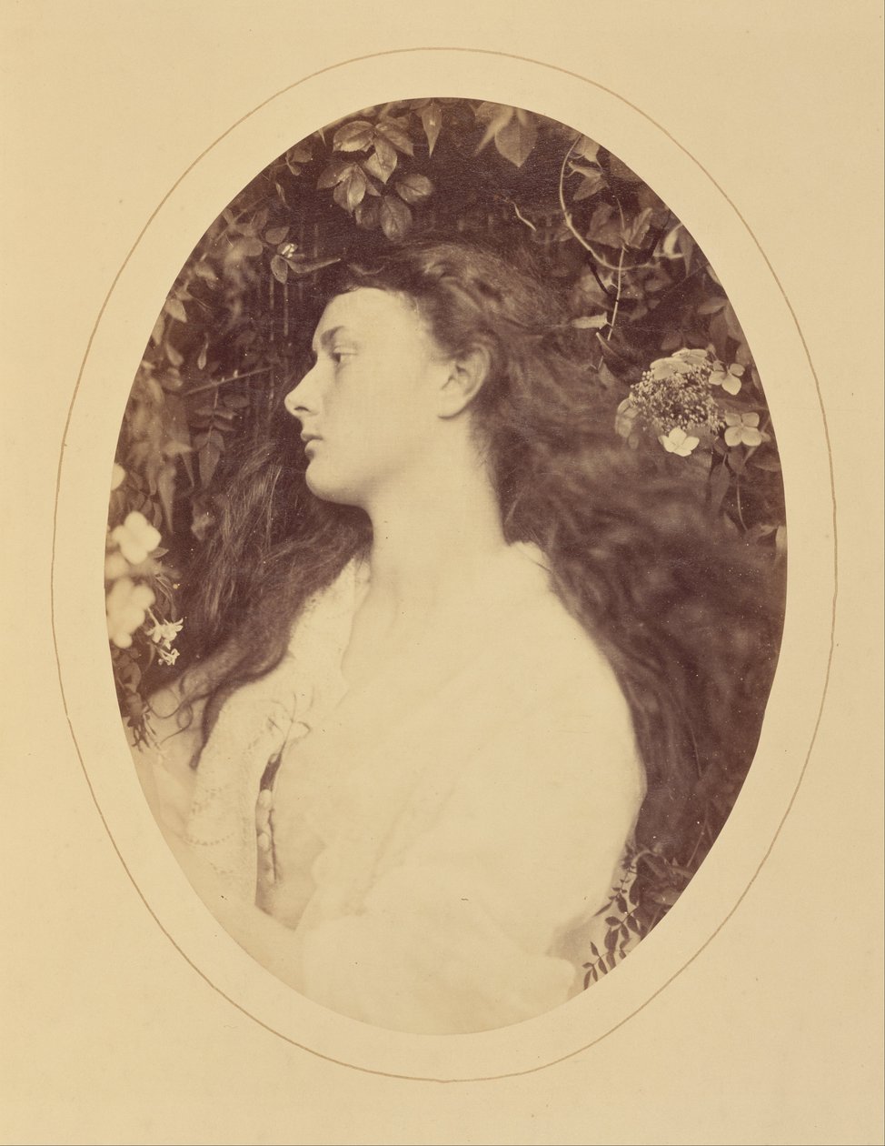 [Alethea] autorstwa Julia Margaret Cameron