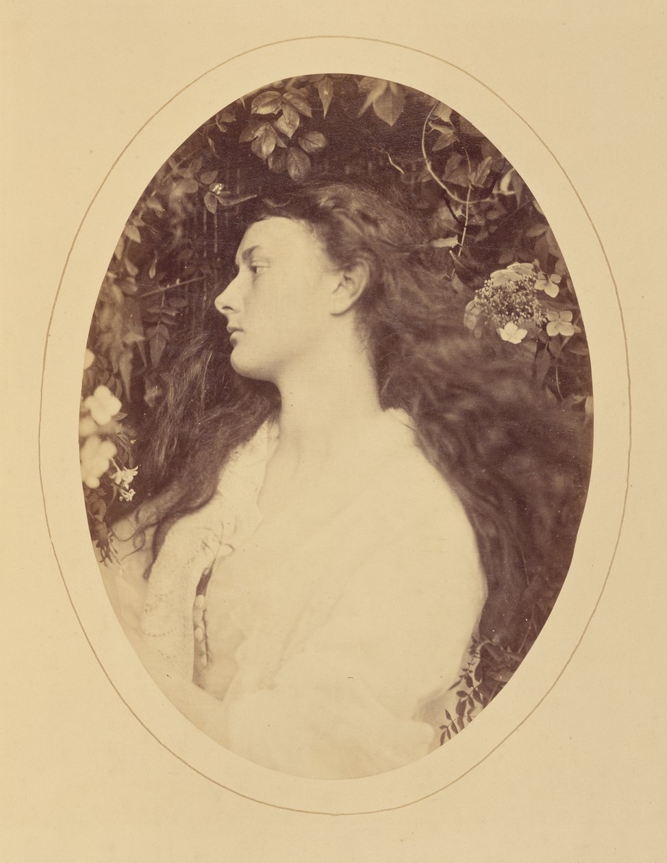 [Alethea] autorstwa Julia Margaret Cameron