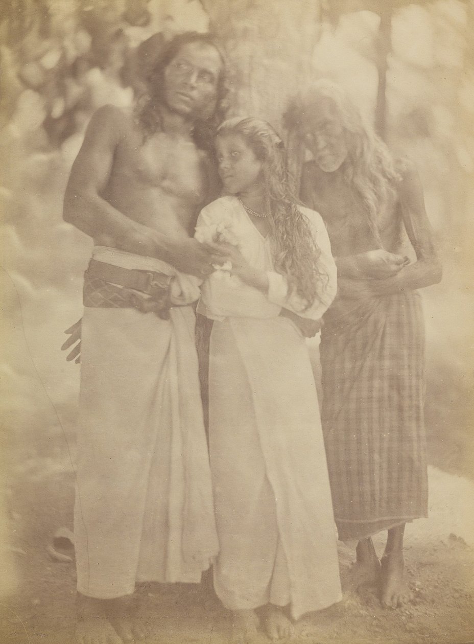 [Grupa cejlońska przy drzewie], 1878. autorstwa Julia Margaret Cameron