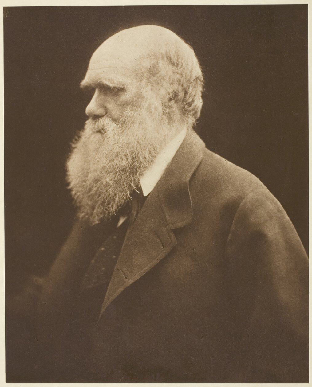 Karol Darwin autorstwa Julia Margaret Cameron