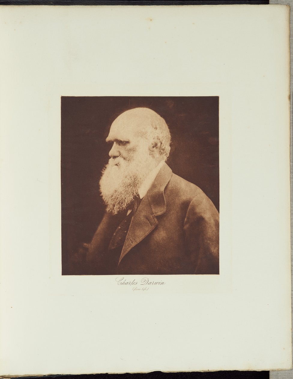 Charles Darwin autorstwa Julia Margaret Cameron