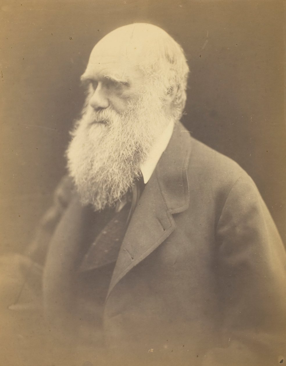 Karol Darwin, 1868. autorstwa Julia Margaret Cameron