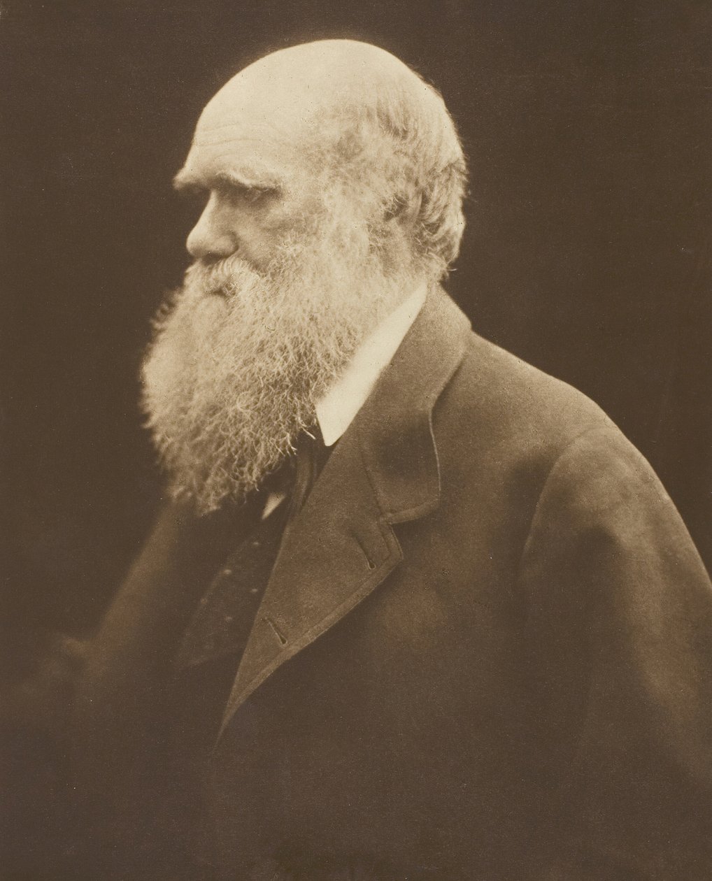 Karol Darwin, ok. 1868, druk 1875. autorstwa Julia Margaret Cameron