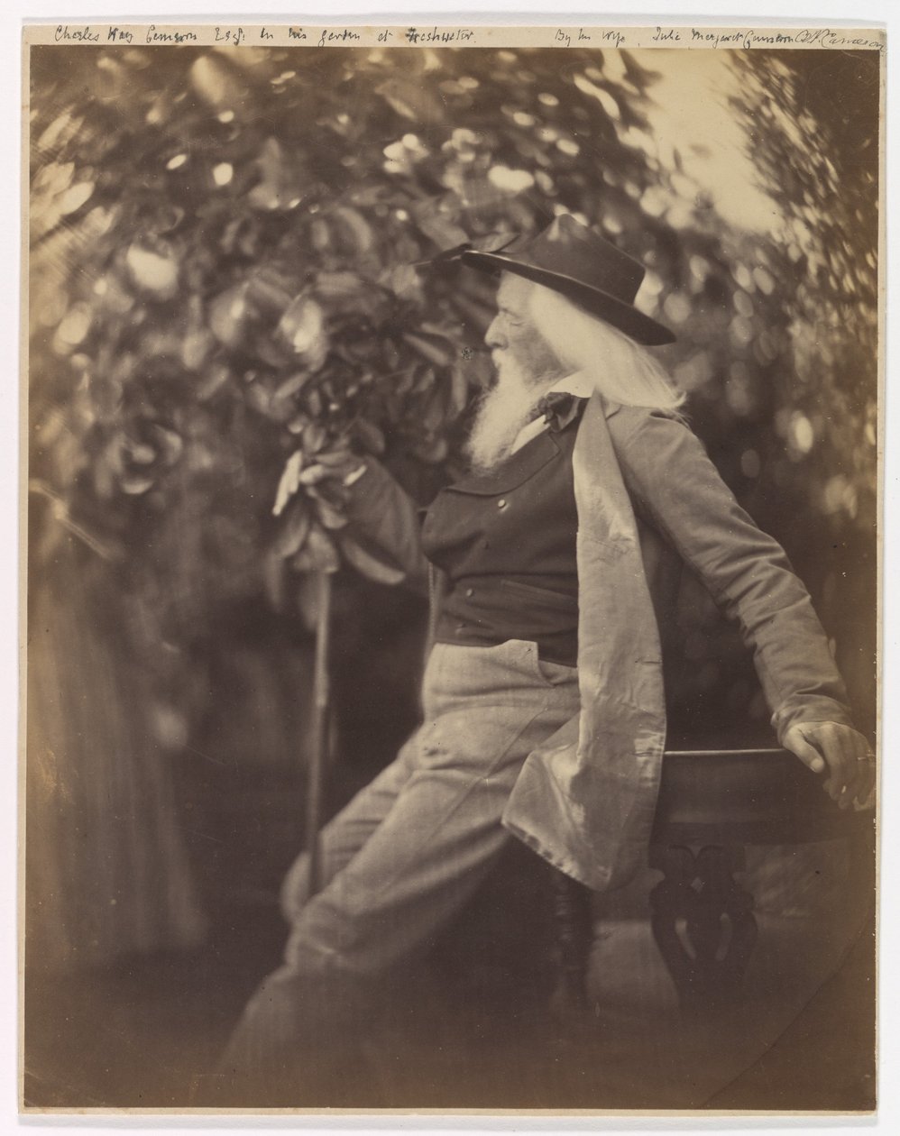 Pan Charles Hay Cameron w swoim ogrodzie w Freshwater autorstwa Julia Margaret Cameron