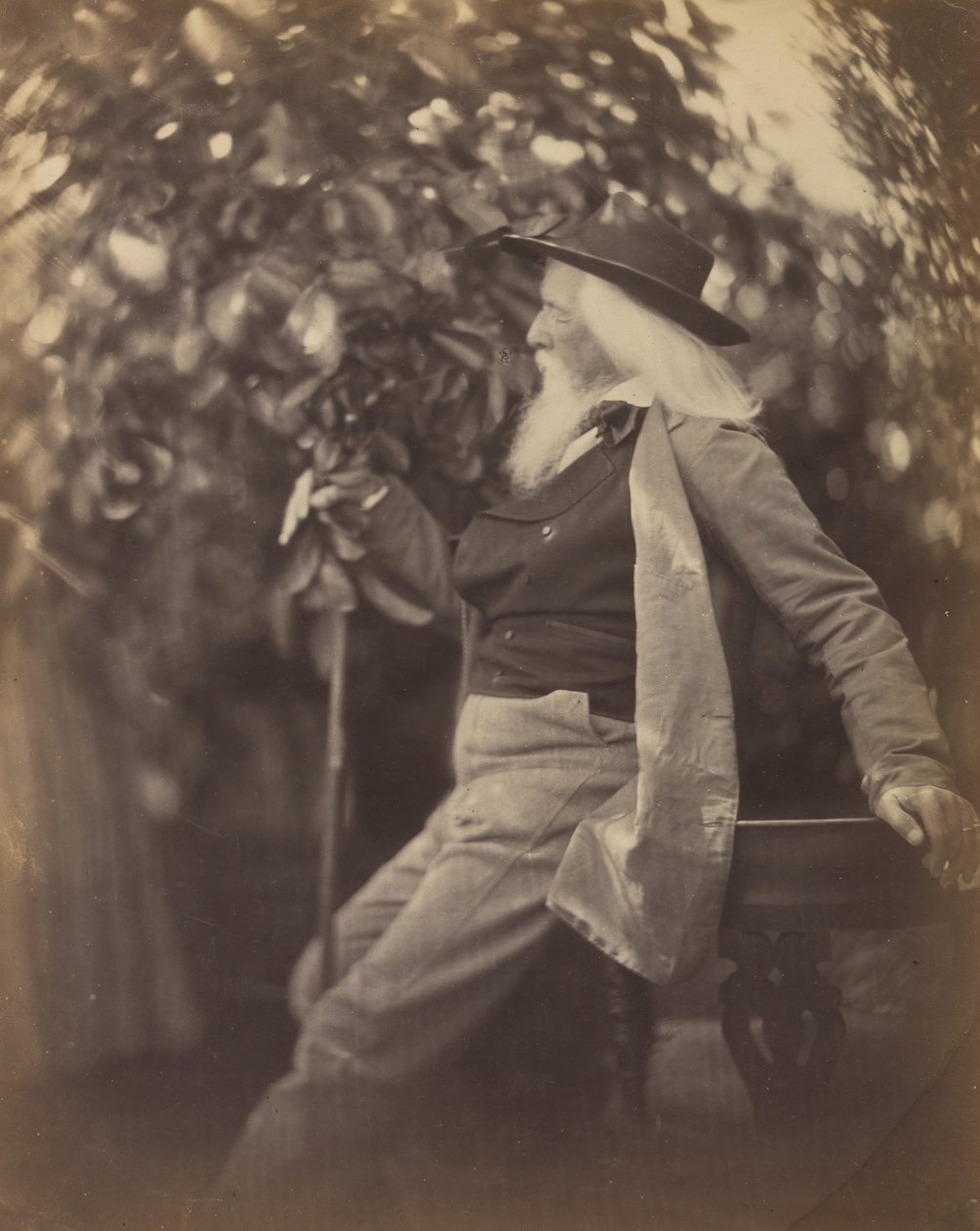 Charles Hay Cameron, Esq., w swoim ogrodzie w Freshwater, 1865-67. autorstwa Julia Margaret Cameron