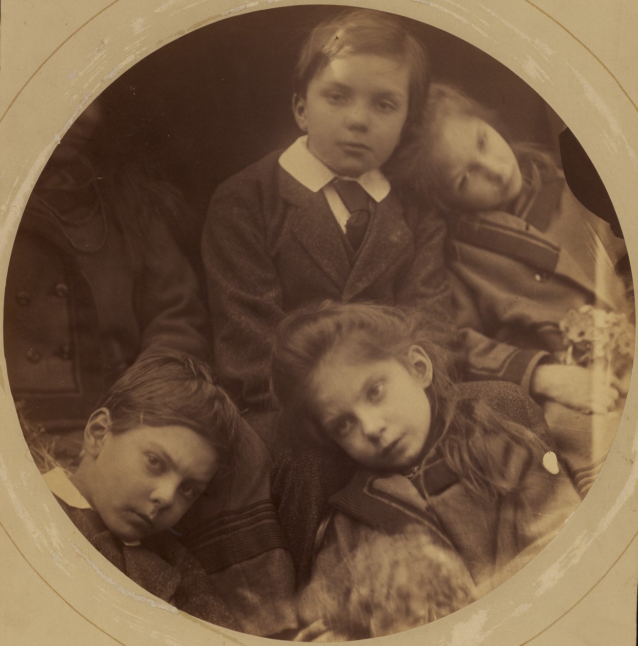 [Dzieci Charlesa Loyda Normana i Julii Cameron Norman: George, Archie, Charlotte i Adeline]. autorstwa Julia Margaret Cameron