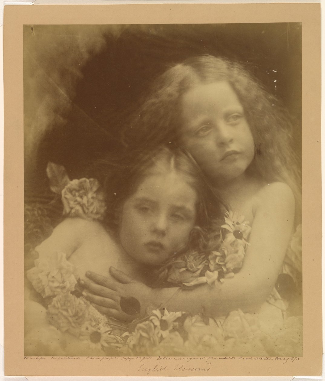 Angielskie kwiaty autorstwa Julia Margaret Cameron