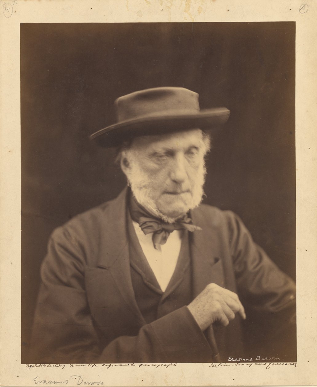 [Erasmus Darwin] autorstwa Julia Margaret Cameron