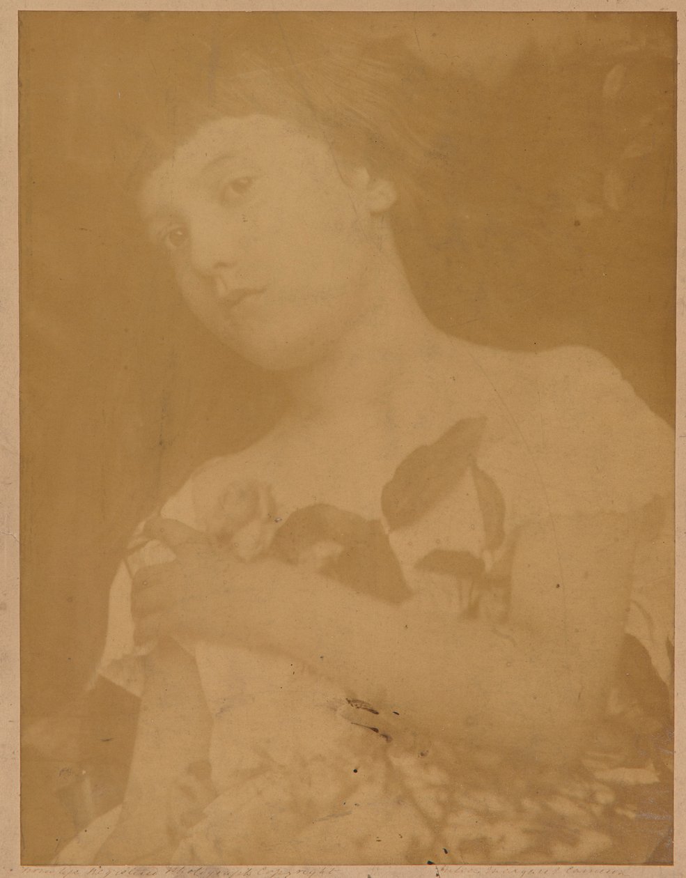 Florencja autorstwa Julia Margaret Cameron