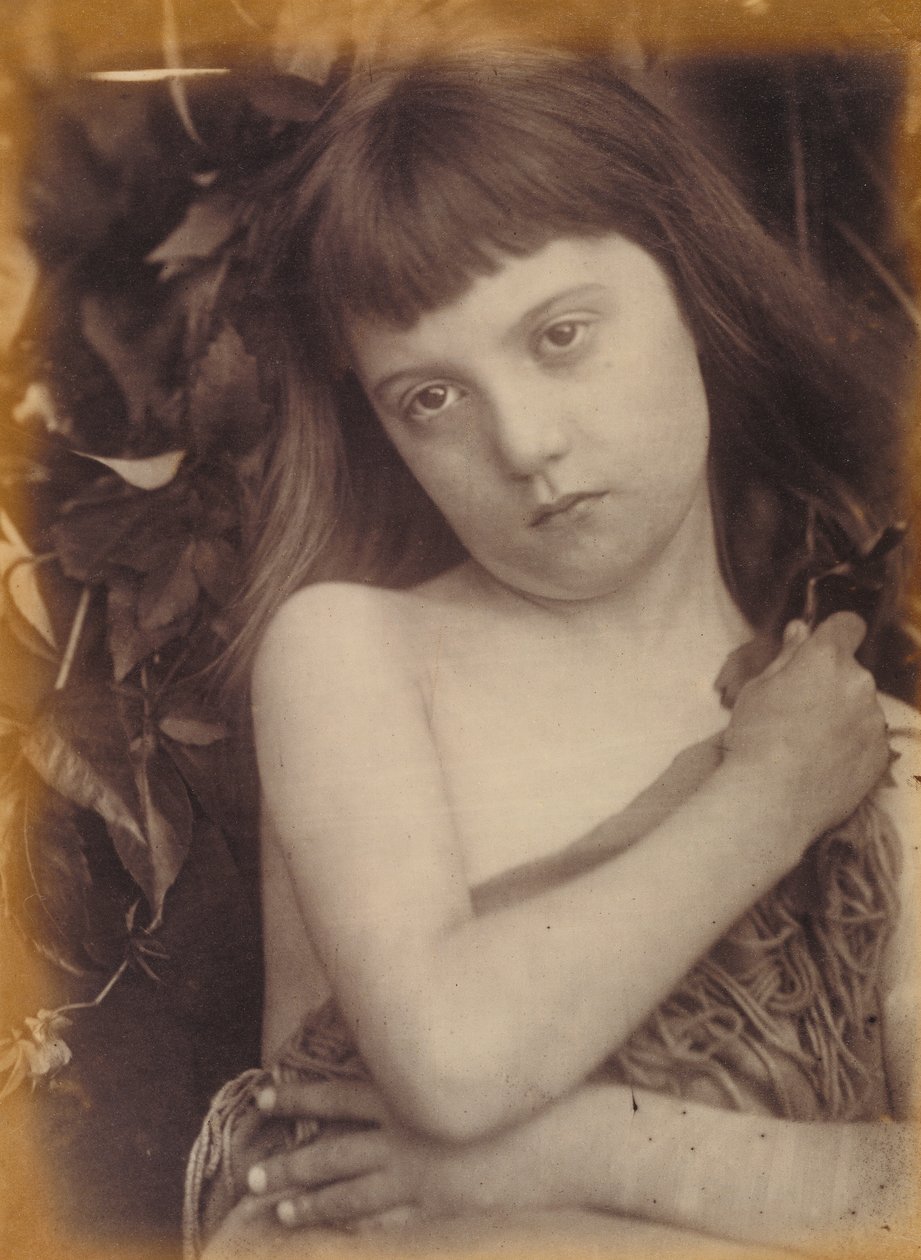 Florencja / Studium św. Jana Chrzciciela autorstwa Julia Margaret Cameron
