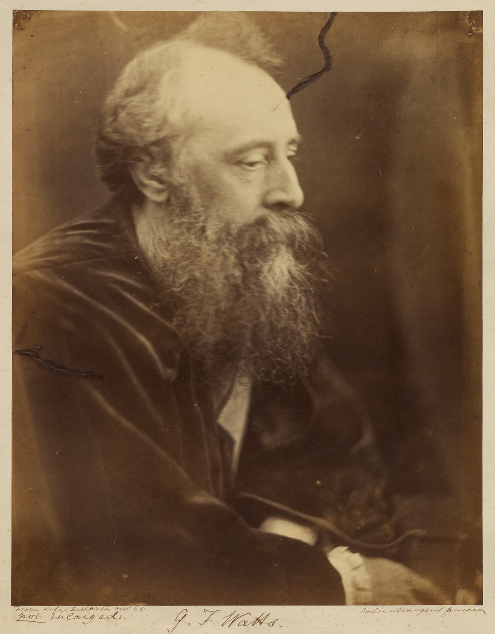G.F. Watts autorstwa Julia Margaret Cameron