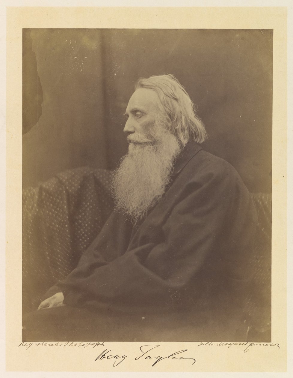 Henry Taylor autorstwa Julia Margaret Cameron