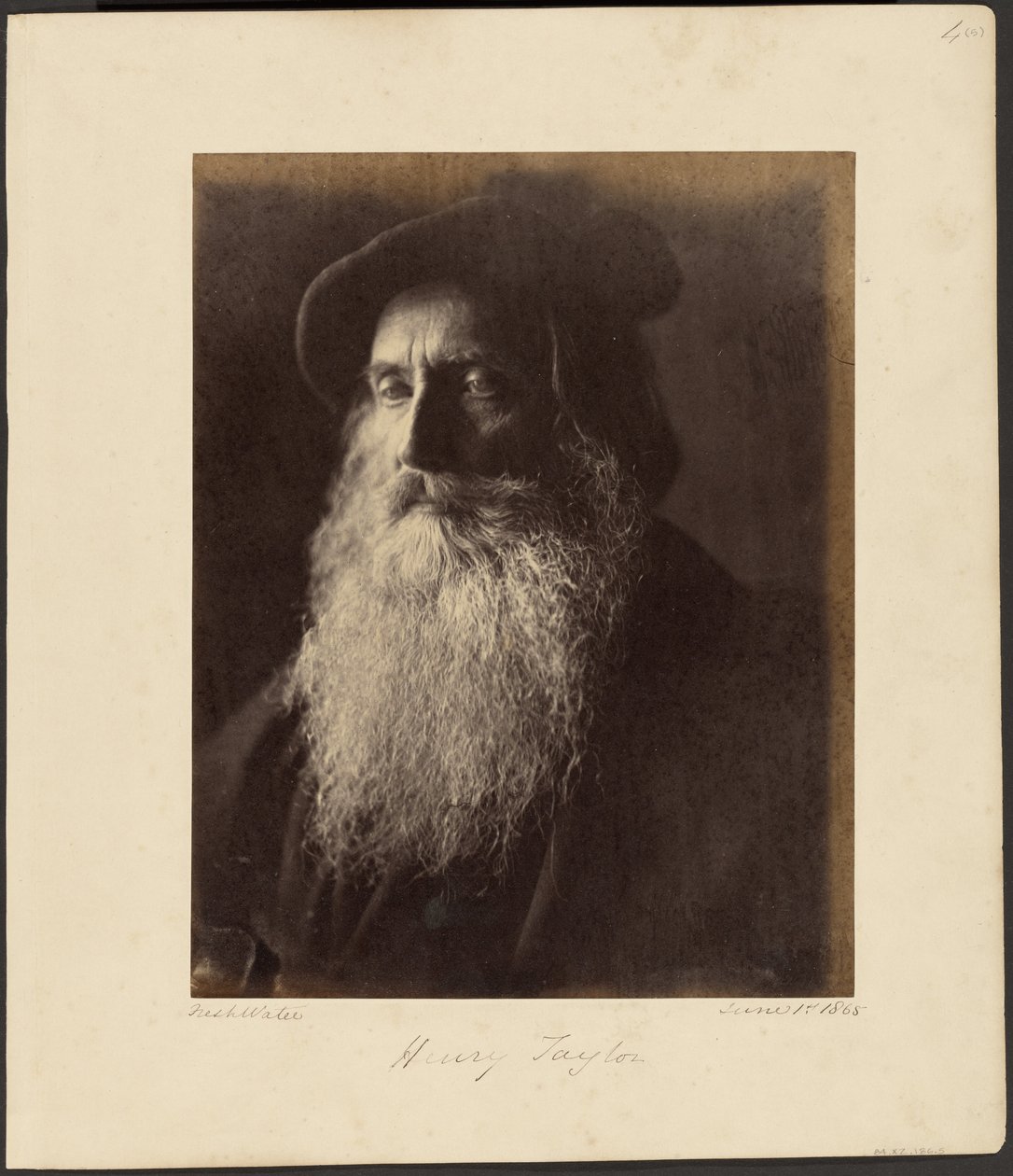 Henry Taylor autorstwa Julia Margaret Cameron