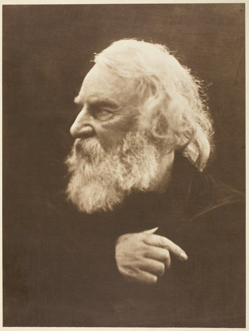 Henry Wadsworth Longfellow autorstwa Julia Margaret Cameron