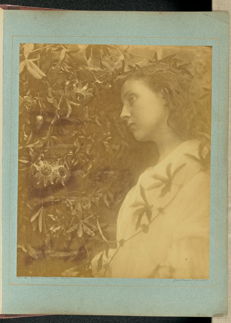 Maud „Spadła wspaniała łza” / „Z passiflory przy bramie”. autorstwa Julia Margaret Cameron