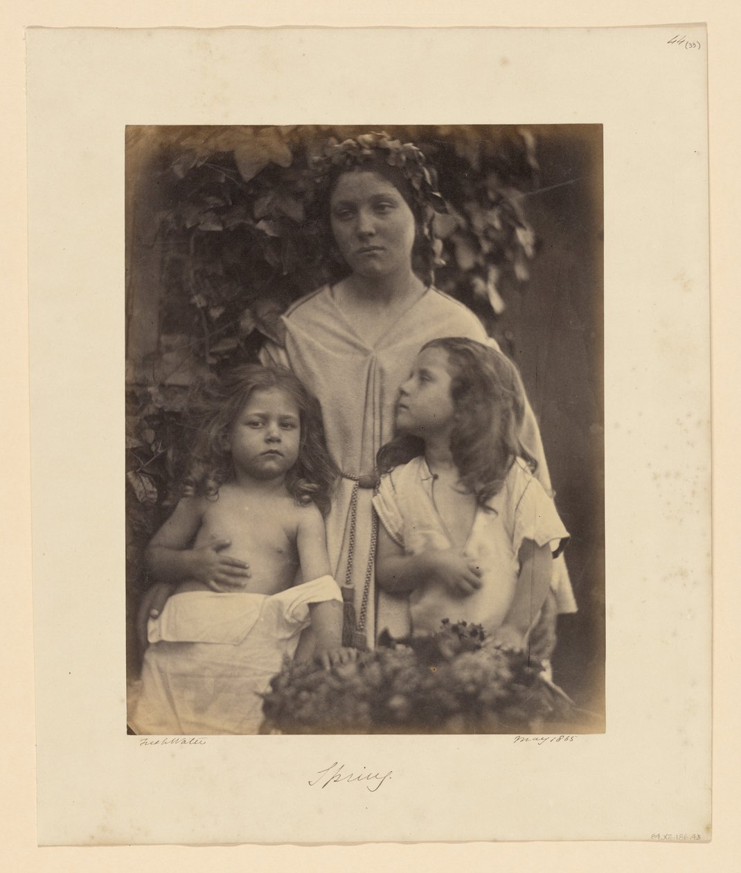 Wiosna autorstwa Julia Margaret Cameron
