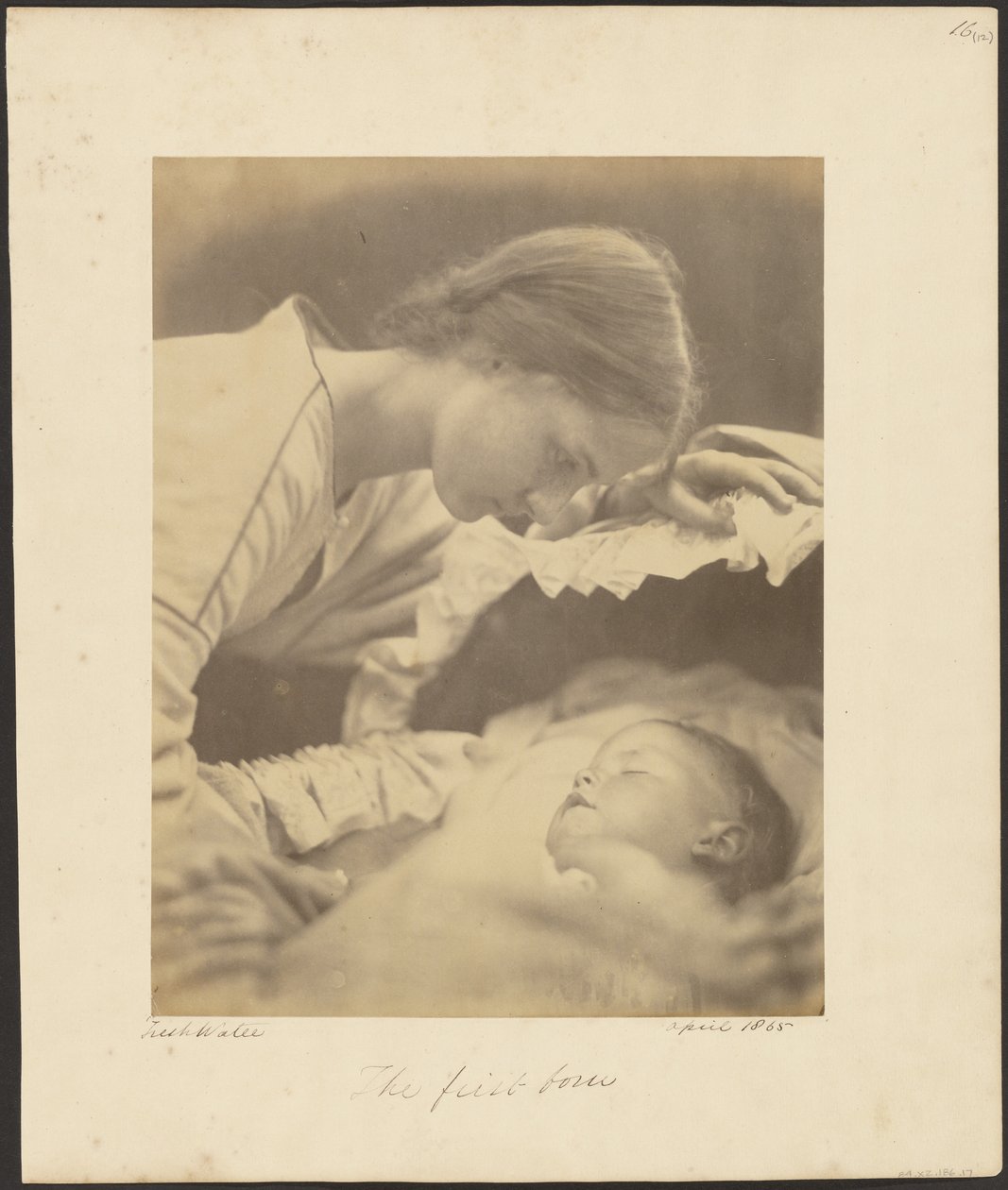 Pierworodny autorstwa Julia Margaret Cameron